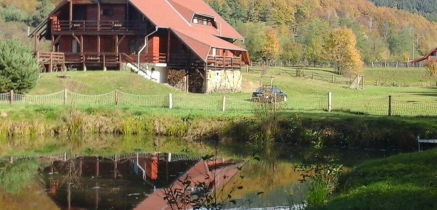 Tíz szobás panzió a Csipkésben