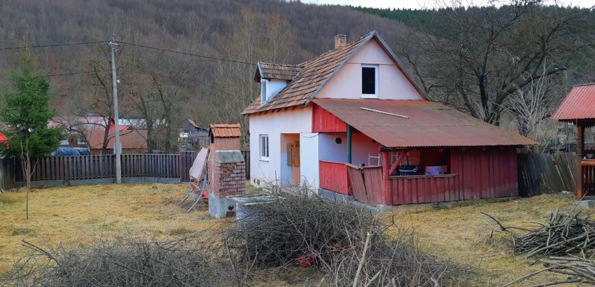 Felsőtorjai családi ház